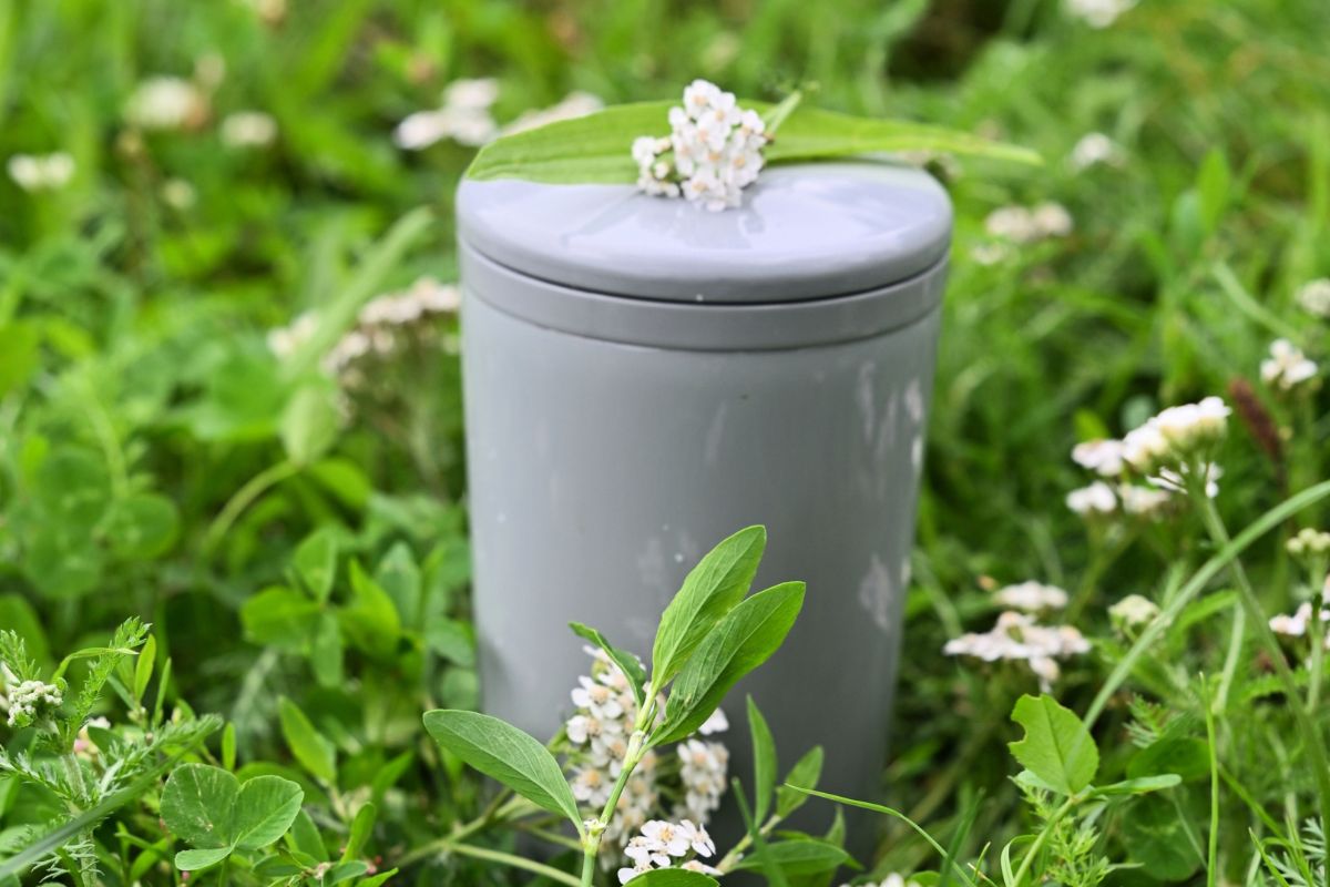 Green Alternatives: Bio Urns, Green Burial and Other Eco-Friendly Options
