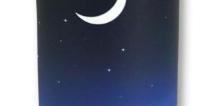 Starrynightlarge.jpg