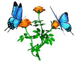Tribute Image